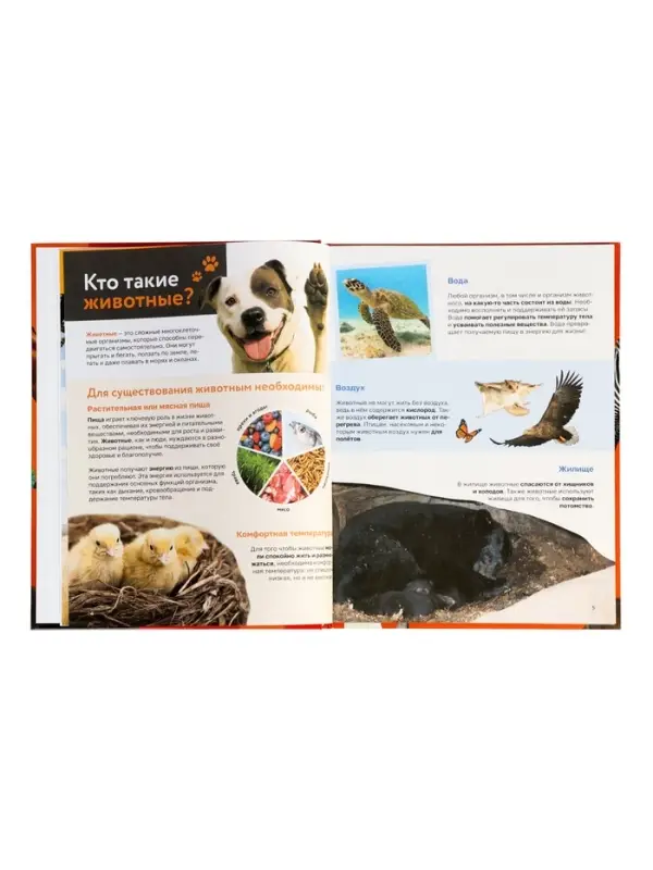Энциклопедия в твёрдом переплёте "Животные", 128 страниц