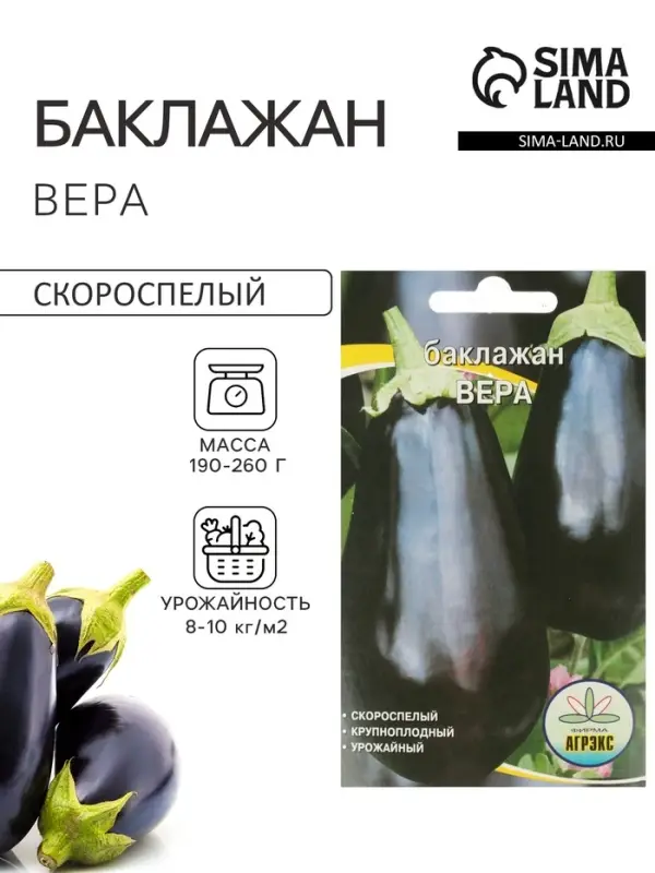Семена Баклажан &laquo;Вера&raquo;, 20 шт., скороспелый, &laquo;Агрэкс&raquo;