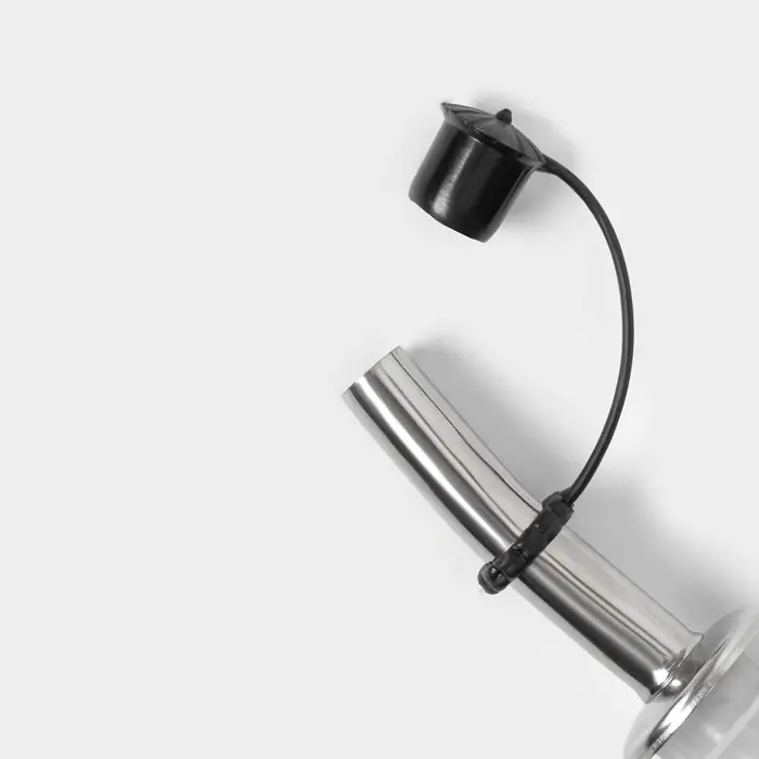 Гейзер для бутылки Доляна &laquo;Ресто&raquo;, 10 см