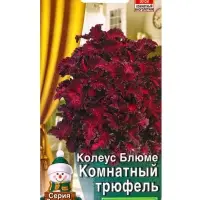 Семена цветов Колеус Комнатный трюфель Мн Зимний сад, Ц/П,5 шт. Семена цветов Колеус Комнатный трюфель Мн Зимний сад, Ц/П,5 шт.