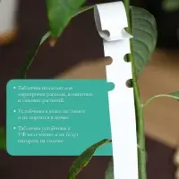 Бирки-петельки садовые, для маркировки растений, 21&times;2 см, набор 20 шт., пластик, МИКС, Greengo