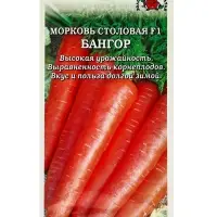 Семена Морковь столовая &laquo;Бангор&raquo;, F1, раннеспелая, 0.2 г, &laquo;Золотая сотка Алтая&raquo; селекция Bejo Zaden