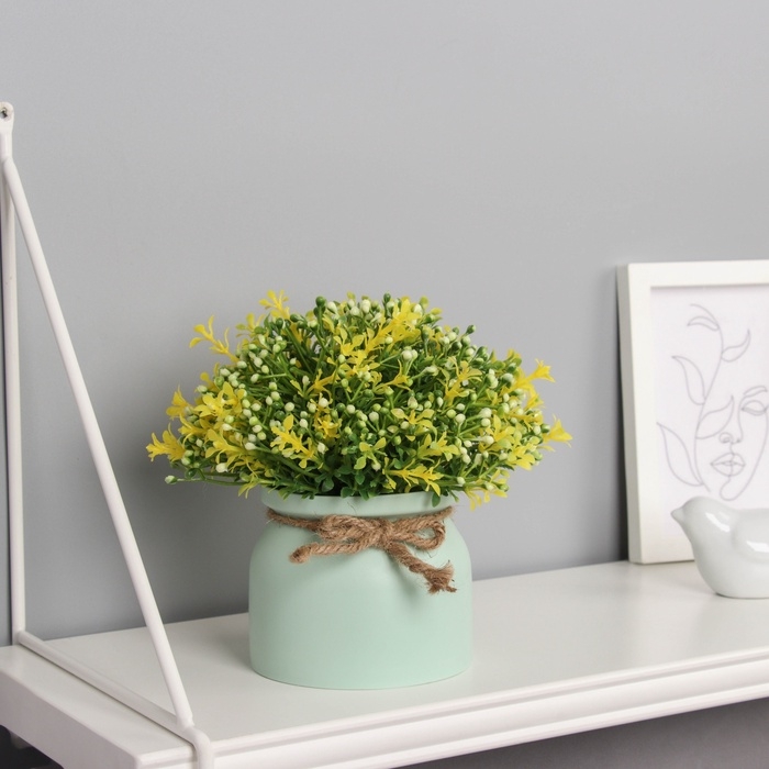 Бонсай в горшке Бонсай в горшке "Бувардия галант" 17х10 см, микс