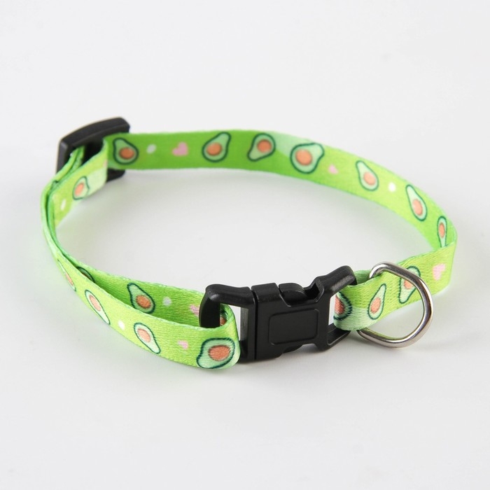 Ошейник для собак и кошек с фастексом «Авокадо», 30х1 см Ошейник для собак и кошек с фастексом «Авокадо», 30х1 см