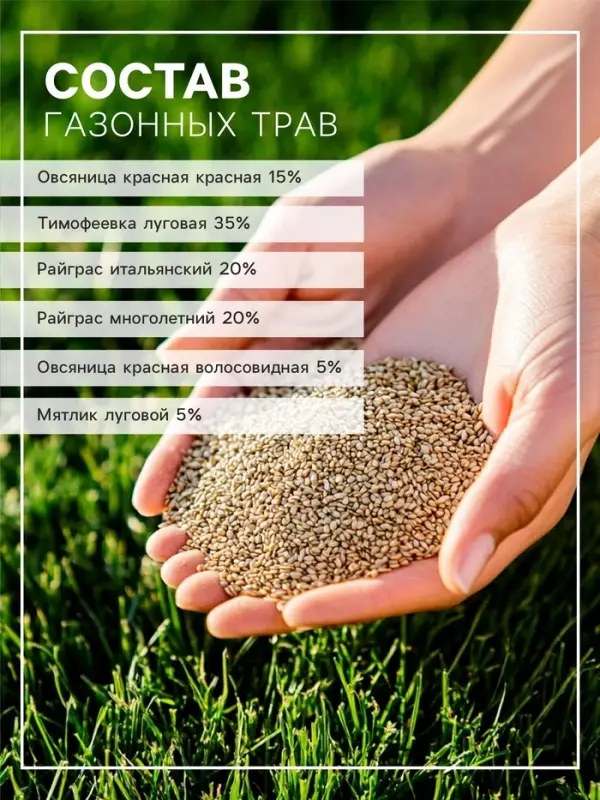 Газон Теневой &laquo;Зеленый квадрат&raquo;, 30 г