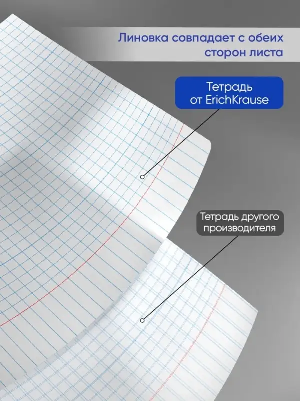 Тетрадь 48 листов в клетку, ErichKrause Unicolor, обложка мелованный картон, МИКС