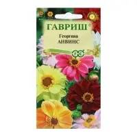 Семена цветов Георгина "Анвинс", ц/п,  смесь, 0,3 г
