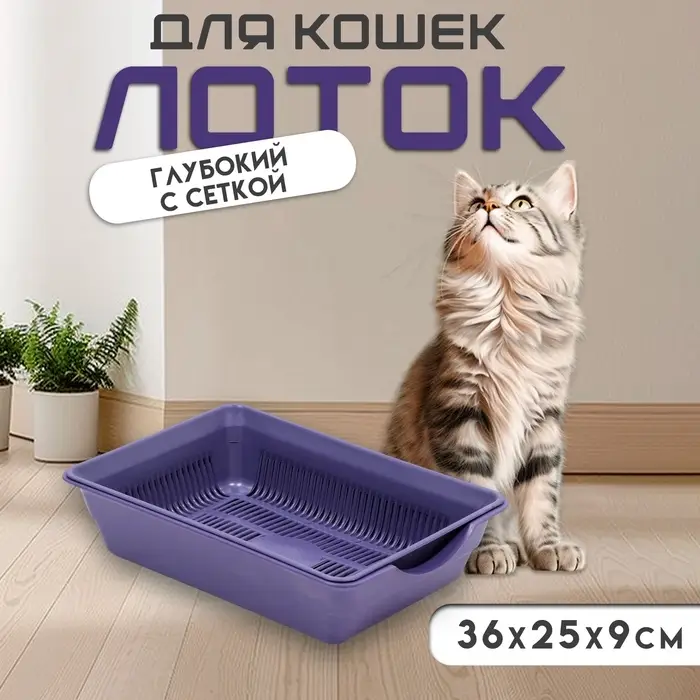 Туалет для кошек, 36&times;25&times;9 см, глубокий, с сеткой, пластик, фиолетовый