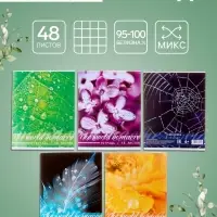 Тетрадь 48 листов в клетку, Calligrata &laquo;Микромир&raquo;, МИКС