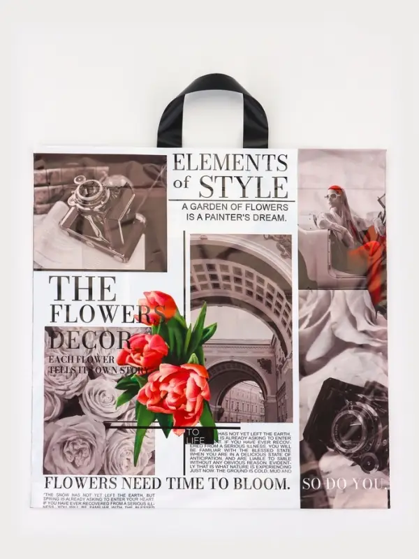 Пакет &laquo;Визуал&raquo;, полиэтиленовый с петлевой ручкой, 42&times;45 см, 45 мкм