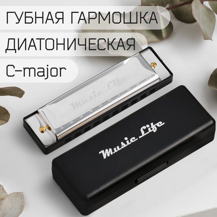 Губная гармошка Music Life, диатоническая, C-major, с футляром, серебристая Губная гармошка Music Life, диатоническая, C-major, с футляром, серебристая