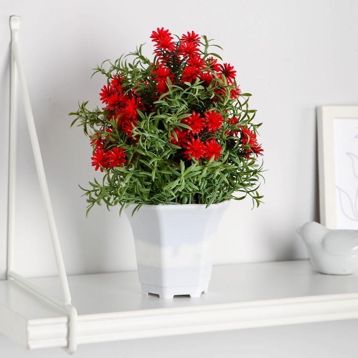 Бонсай в горшке Бонсай в горшке "Монарда" 11х22 см, микс