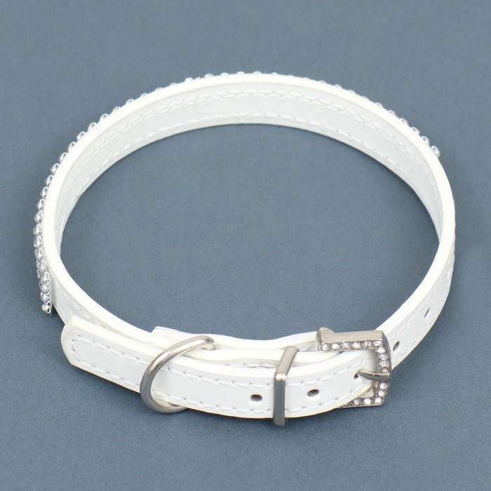 Ошейник со стразами в 4 ряда и стразы на пряжке, 38 х 1,5 см, ОШ 26-33, белый Ошейник со стразами в 4 ряда и стразы на пряжке, 38 х 1,5 см, ОШ 26-33, белый