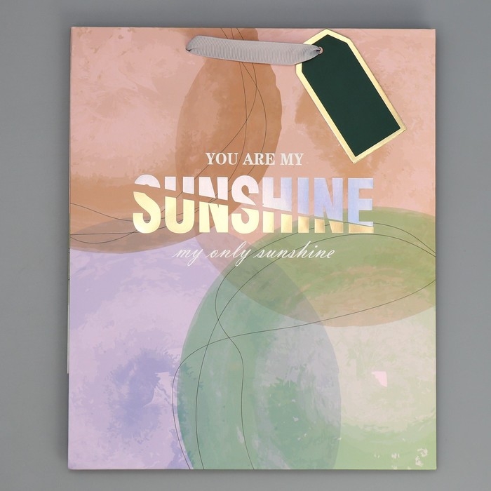 Пакет подарочный ламинированный, упаковка, «Солнце моё», 25.4 х 30.5 х 12.7 см Пакет подарочный ламинированный, упаковка, «Солнце моё», 25.4 х 30.5 х 12.7 см