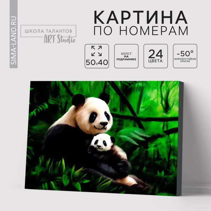 Картина по номерам на холсте с подрамником «Панды. Мама и малыш», 40 х 50 см