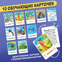 Обучающий пазл «Изучаем животных», с наклейками и карточками, 66 деталей