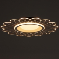 Люстра с ПДУ 1200/1 LED 52Вт 3000-6000К диммер белый-прозрачный 50х50х8 см BayerLux