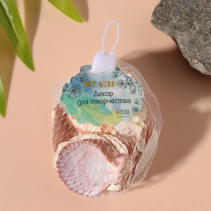 Ракушки природные декоративные "Гребешок" набор 100 гр