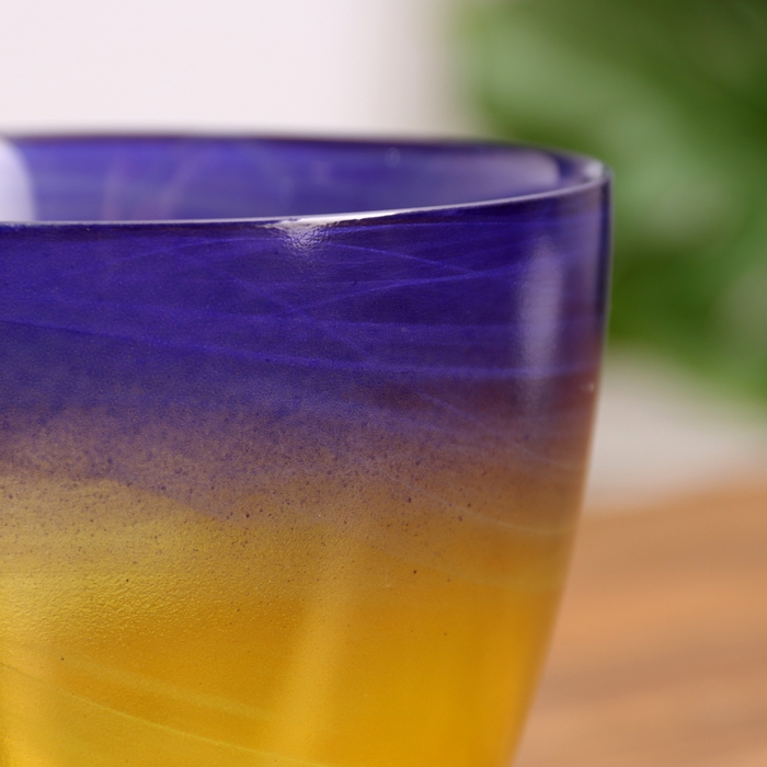 Горшок цветочный с поддоном №2  Горшок цветочный с поддоном №2 "Алеб" желто-фиолетовый, 0,85 л