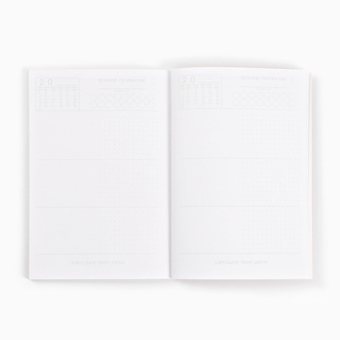 Новый год. Ежедневник-планинг &laquo;365 шансов&raquo;, А5, 80 л.