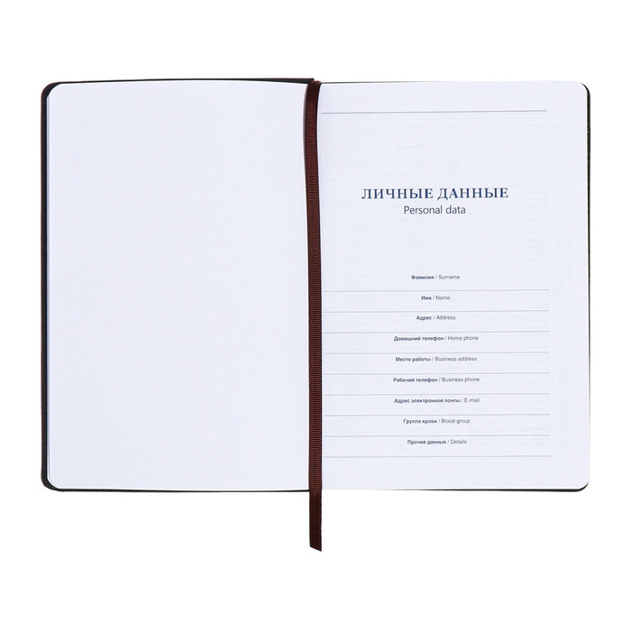 Ежедневник недатированный, А5, 140л, клетка, обл.кожзам, Синий Ежедневник недатированный, А5, 140л, клетка, обл.кожзам, Синий