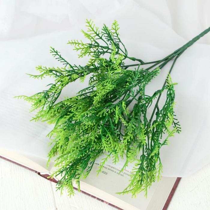 Букет Букет "Туа западная" 32 см