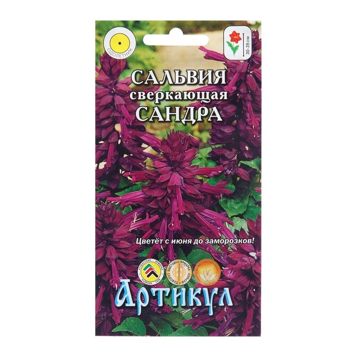 Семена Цветов Сальвия   Семена Цветов Сальвия  "Сандра", 10 шт
