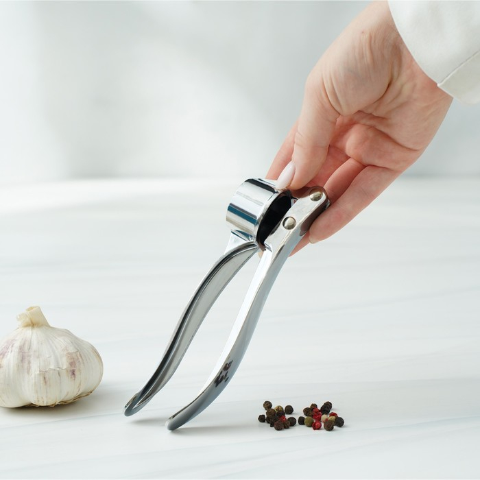 Пресс для чеснока Доляна «Эрнест», 15 см, цвет серебряный Пресс для чеснока Доляна «Эрнест», 15 см, цвет серебряный
