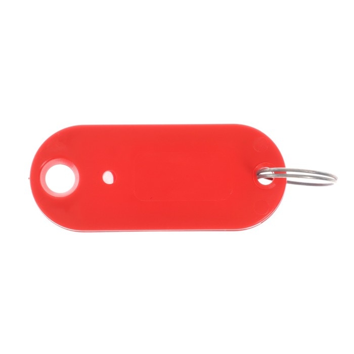 Набор брелоков для ключей 100 штук, 53 мм, МИКС Набор брелоков для ключей 100 штук, 53 мм, МИКС