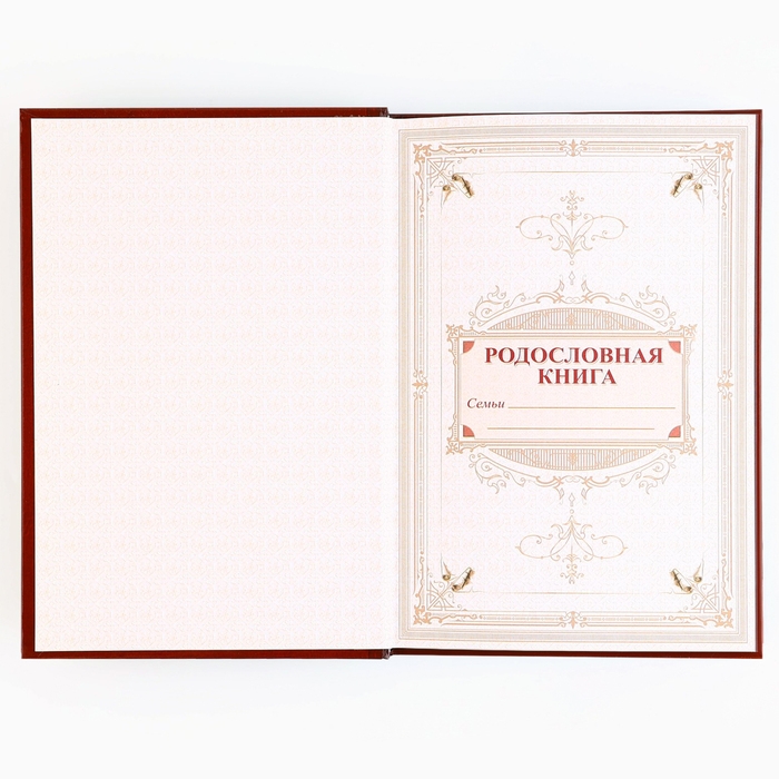 Родословная книга с новогодним пояском «Новый год: Каждый день», 16,5 х 24 см. Родословная книга с новогодним пояском «Новый год: Каждый день», 16,5 х 24 см.