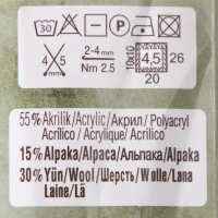 Пряжа "Alpaca Royal New" 15% альпака, 30% шерсть, 55% акрил 250м/100гр (152)