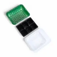 Мини-парник для рассады на 1 кассету см, 1 вставка