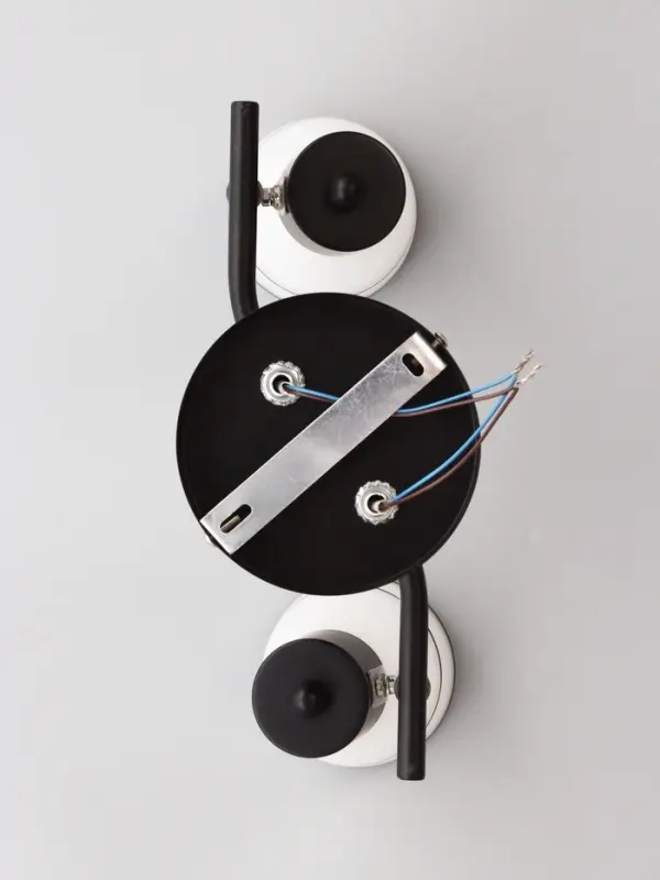 Спот потолочный &laquo;Айрис&raquo;, 2хЕ14, 40 Вт, черный, 38&times;18&times;22 см