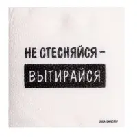 Салфетки бумажные однослойные &laquo;Не стесняйся-вытирайся&raquo;, 24&times;24 см, набор 20 шт.