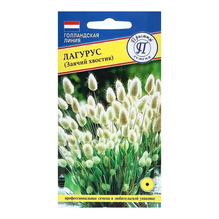 Семена цветов Лагурус (заячий хвостик), О, 10 шт Семена цветов Лагурус (заячий хвостик), О, 10 шт