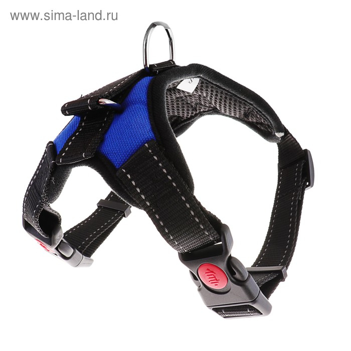 Шлейка К7 мягкая светоотражающая, размер М, ОГ 52-66 см, вес 9,5-17,5 кг, синяя Шлейка К7 мягкая светоотражающая, размер М, ОГ 52-66 см, вес 9,5-17,5 кг, синяя