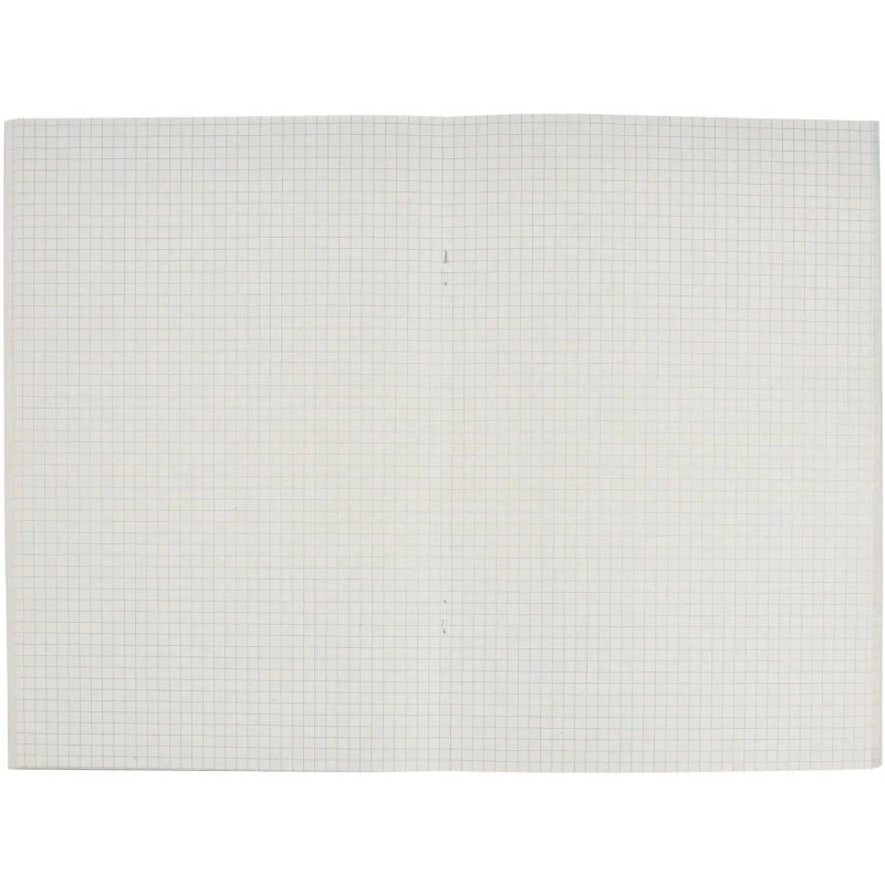 Тетрадь общая А4,48л,кл,скоб,офсет-2 Ice син/зел