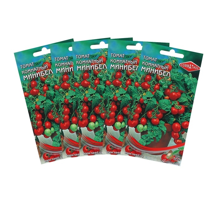 Семена Томат комн. Минибел, набор 5 шт Семена Томат комн. Минибел, набор 5 шт