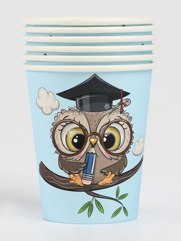 Набор бумажной посуды Набор бумажной посуды "Совушка", набор 12 шт.