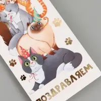 Конверт для денег &laquo;Поздравляю&raquo;, коты, тиснение, 16.5&times;8 см