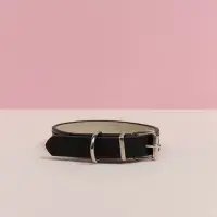 VETTA Ошейник для домашних животных, искусственная кожа, 1,5х29,5 см, обхват 18,5х26,5 см