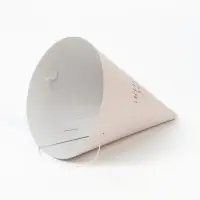 Набор колпаков праздничных «С Днём рождения», универсальный, 6 шт Набор колпаков праздничных «С Днём рождения», универсальный, 6 шт