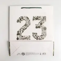 Пакет подарочный ламинированный, упаковка, &laquo;23 февраля&raquo;, M 26&times;30&times;9 см