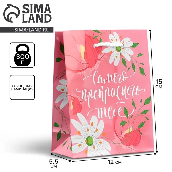 Пакет подарочный ламинированный, упаковка, «Прекрасного тебе», S 12 х 15 х 5.5 см Пакет подарочный ламинированный, упаковка, «Прекрасного тебе», S 12 х 15 х 5.5 см