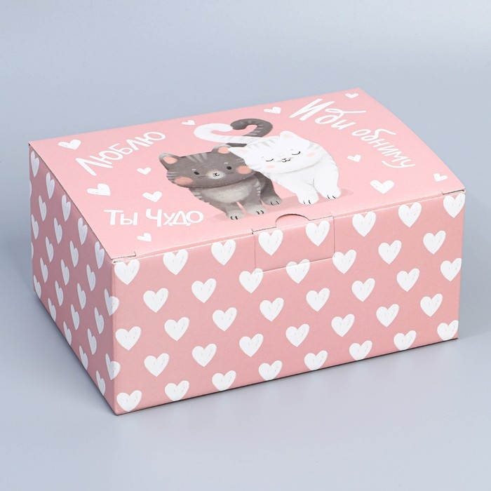 Коробка подарочная сборная, упаковка, «Иди обниму», 22 х 15 х 10 см