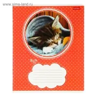Тетрадь 18 листов в линейку &laquo;Котята&raquo;, МИКС