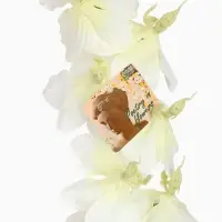 Цветы искусственные &laquo;Орхидея Теордроп&raquo; 90&times;10 см, белый