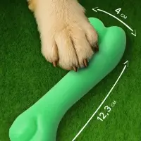 Жевательная игрушка для собак &laquo;Косточка классическая&raquo;, 12.3 см, TPR, зелёная
