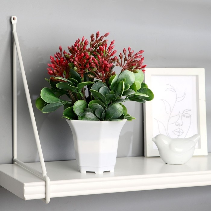 Бонсай в горшке Бонсай в горшке "Сенполия галант" 14х23 см, микс