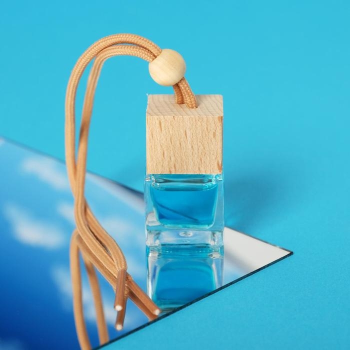 Ароматизатор подвесной в бутылочке, размер XXL «Свежесть» Ароматизатор подвесной в бутылочке, размер XXL «Свежесть»